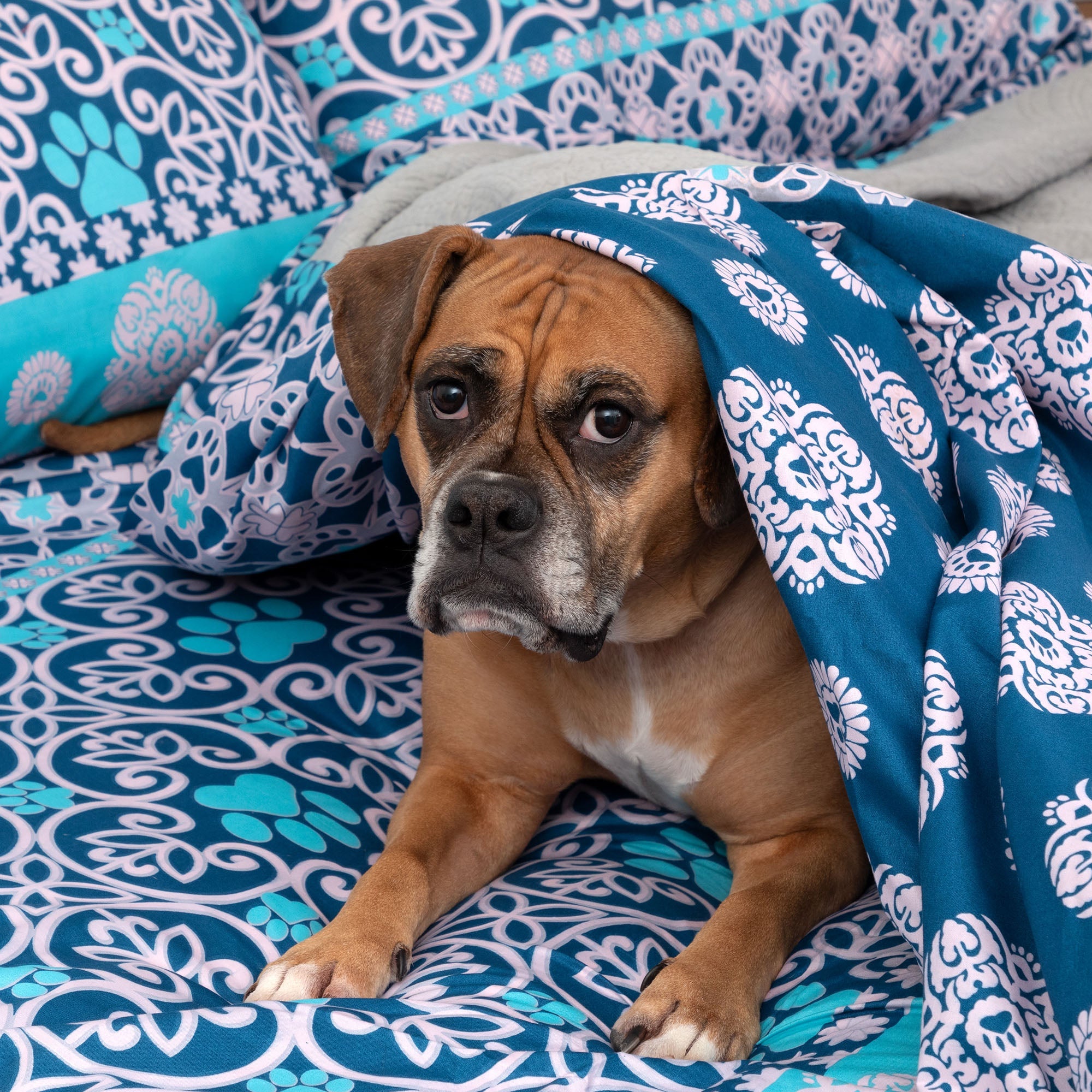 Perfectly Patterned Paws Sheet Set