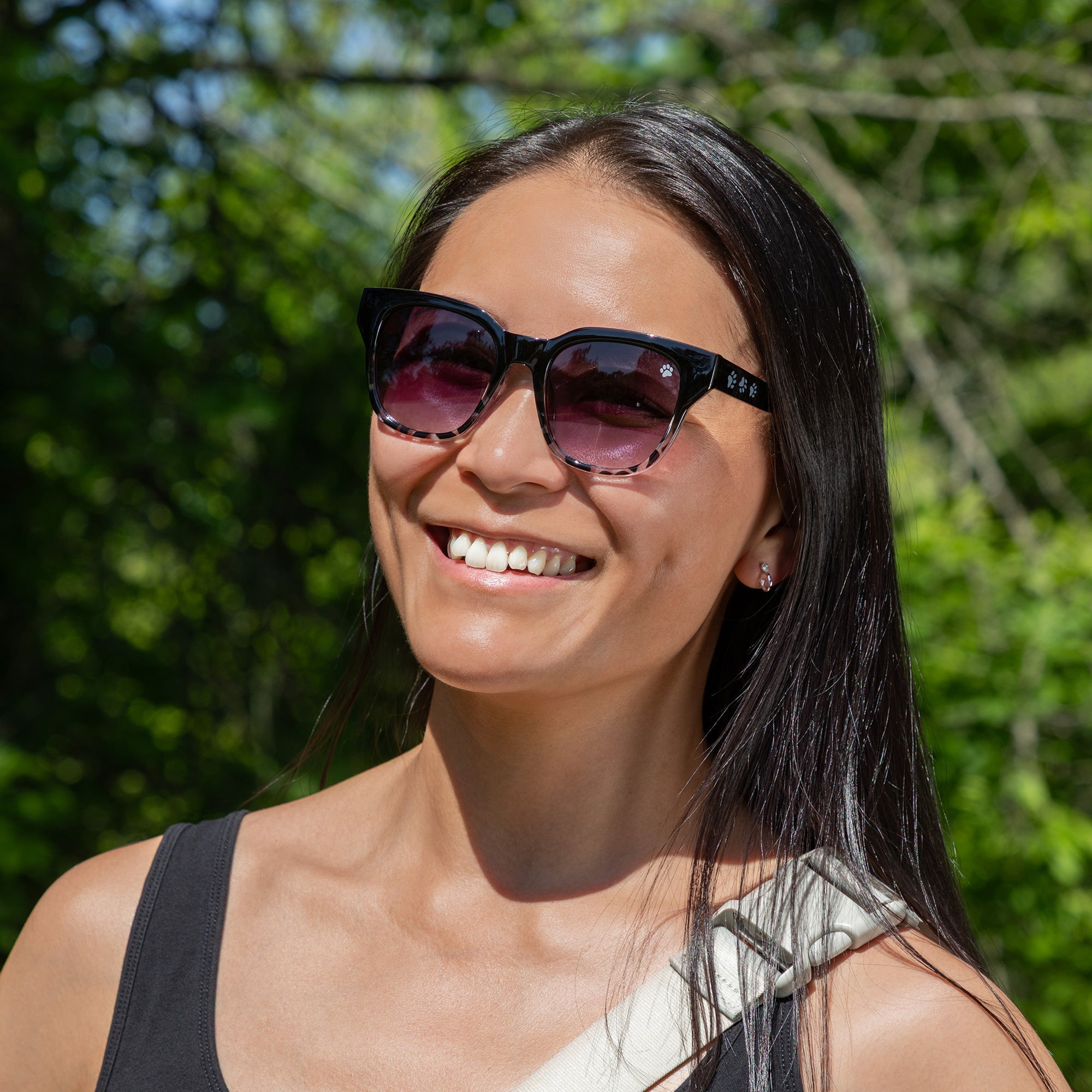 Walking Paws Sunglasses