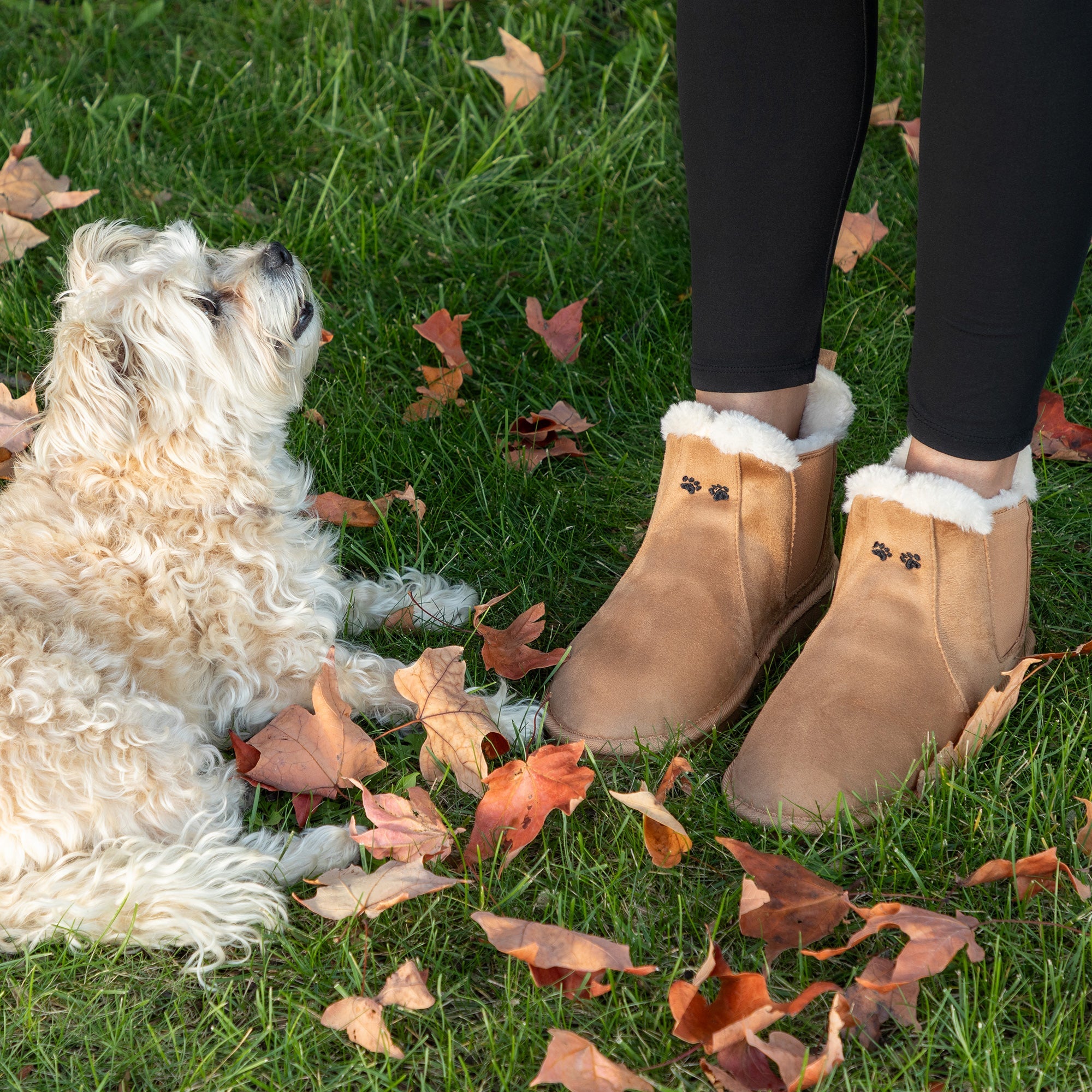 Paw Print Faux Suede Chelsea Boots