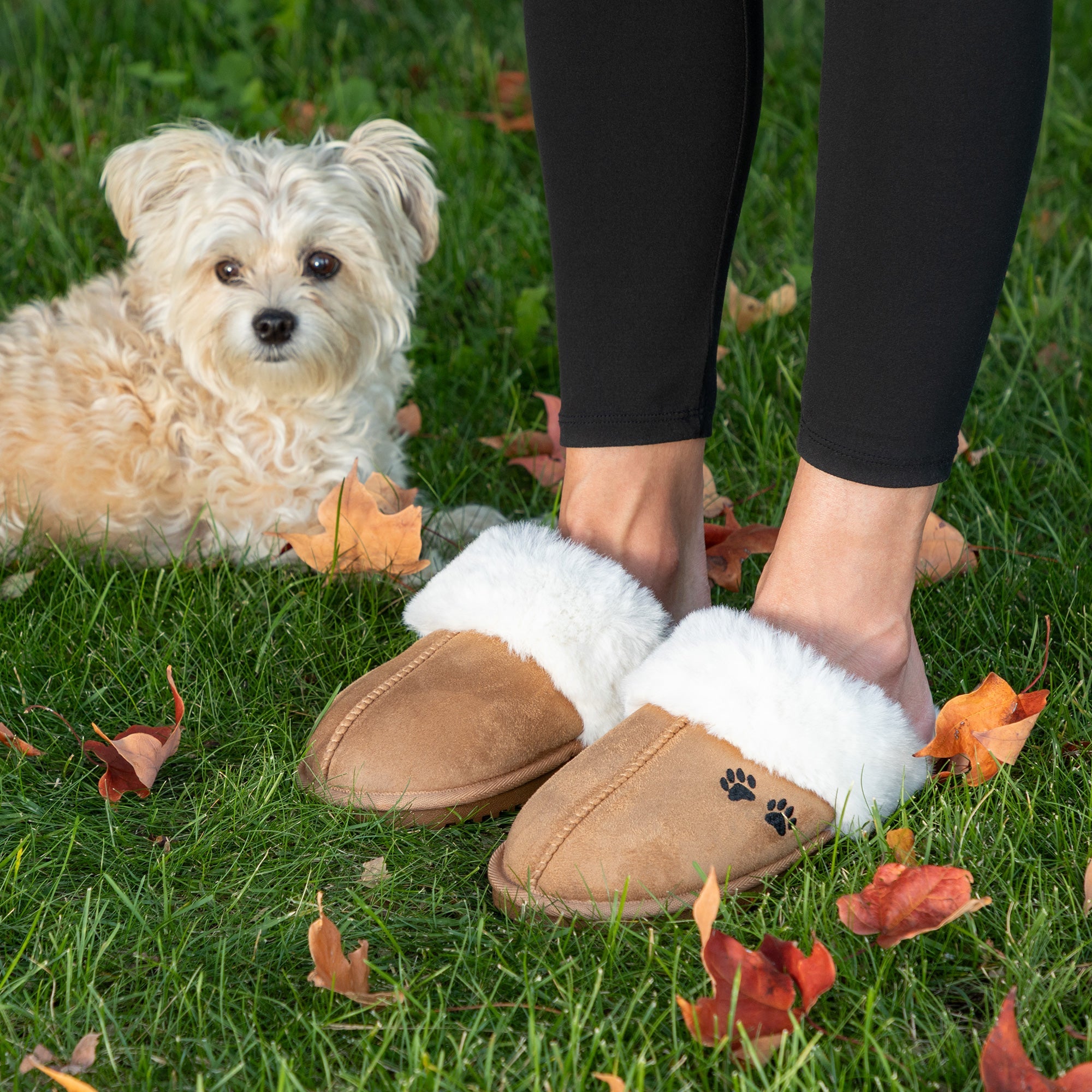 Paw Print Fuzzy Faux Fur-Lined Mule Slippers