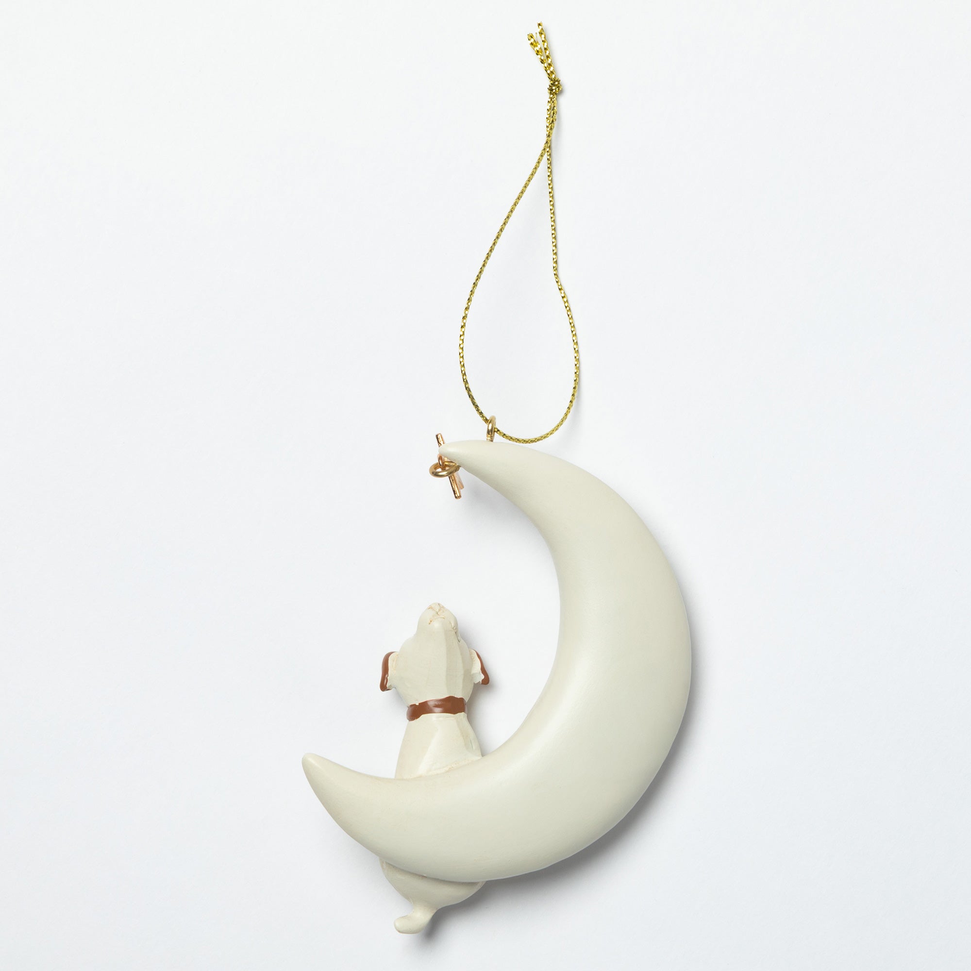 Love You to the Moon & Back Pet Lover Ornament