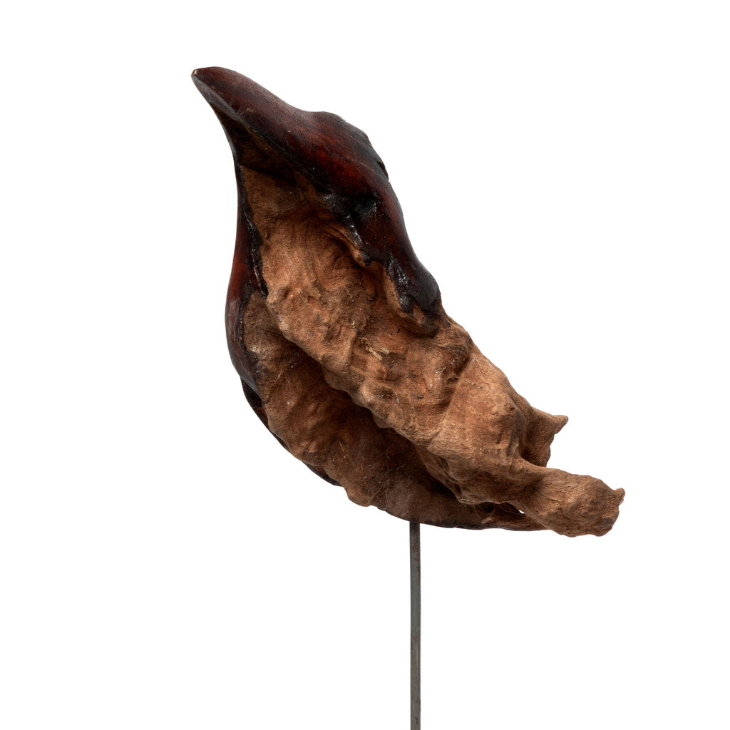 Hand-Carved Driftwood Pretty Bird Garden Stake
