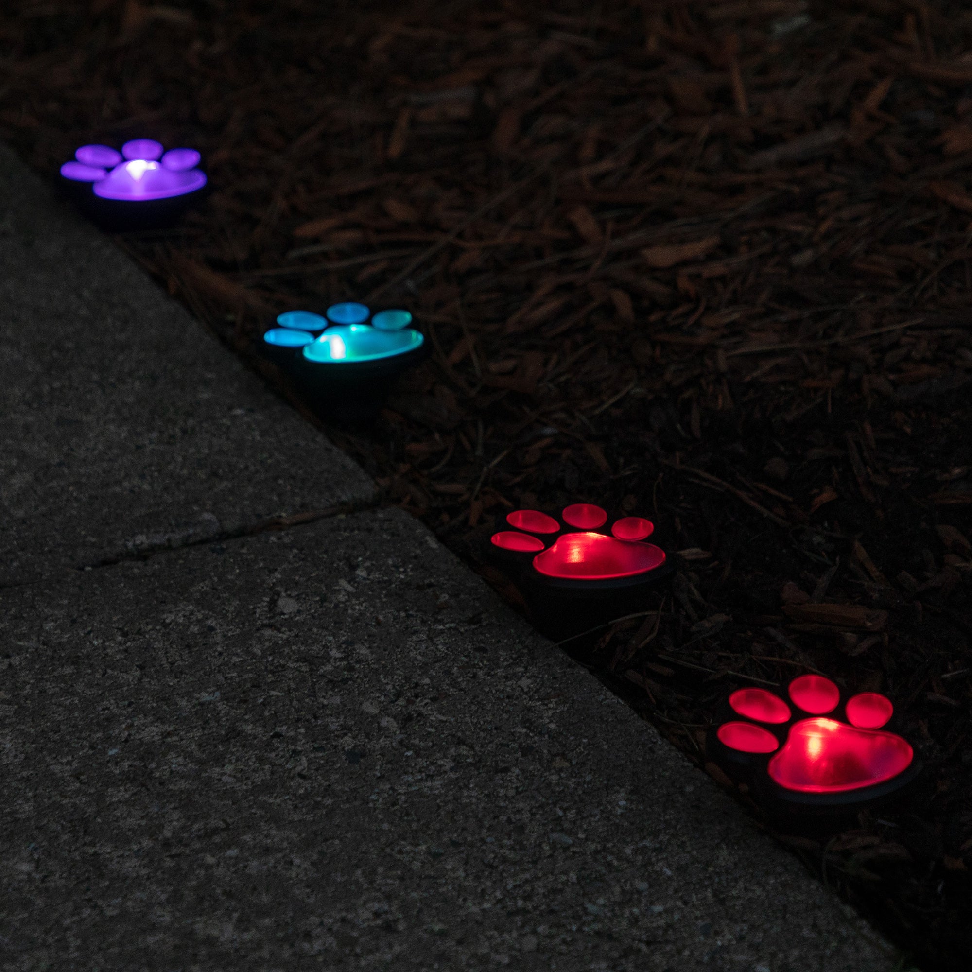 Paw Print Solar Wireless Ground Lights - Set of 4
