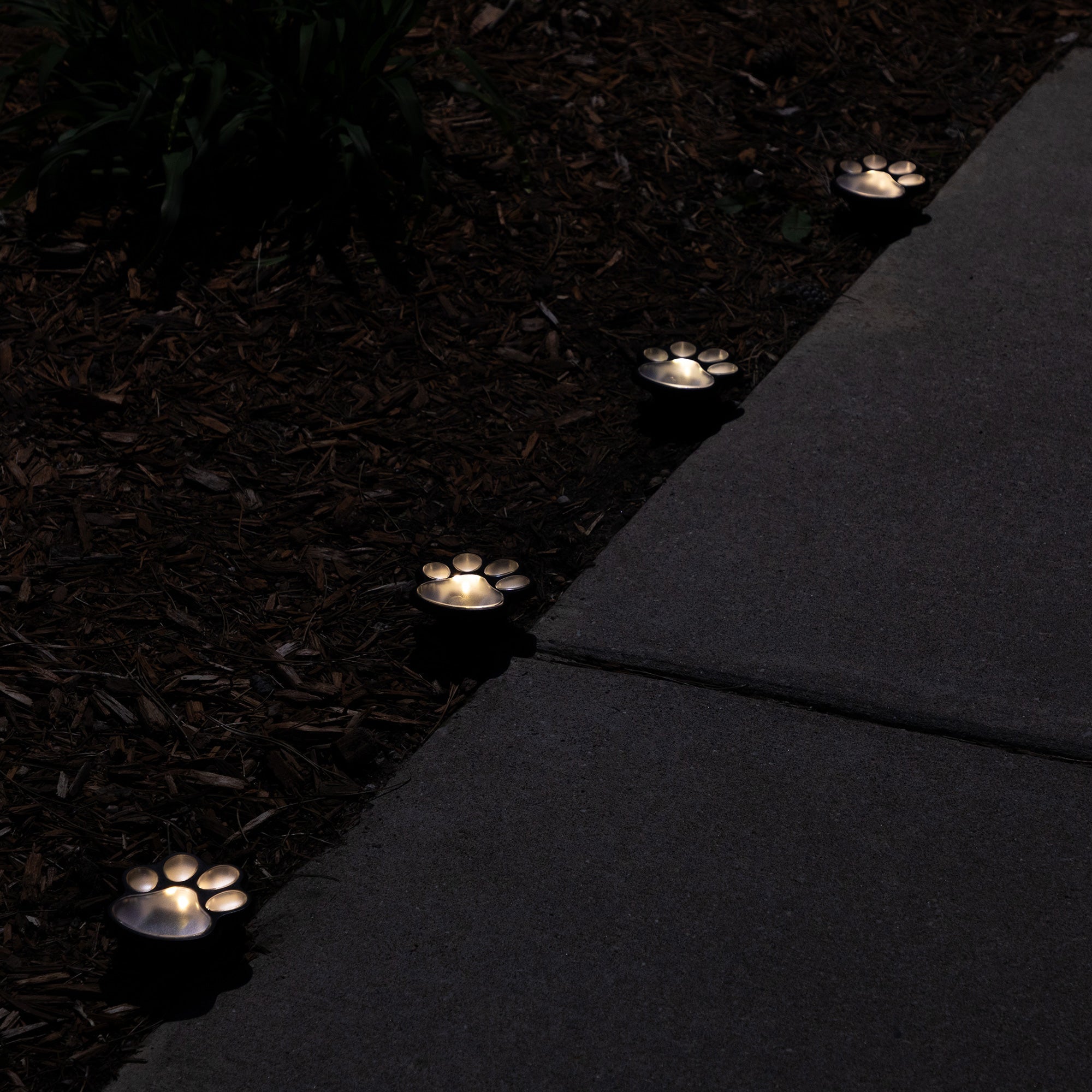 Paw Print Solar Wireless Ground Lights - Set of 4