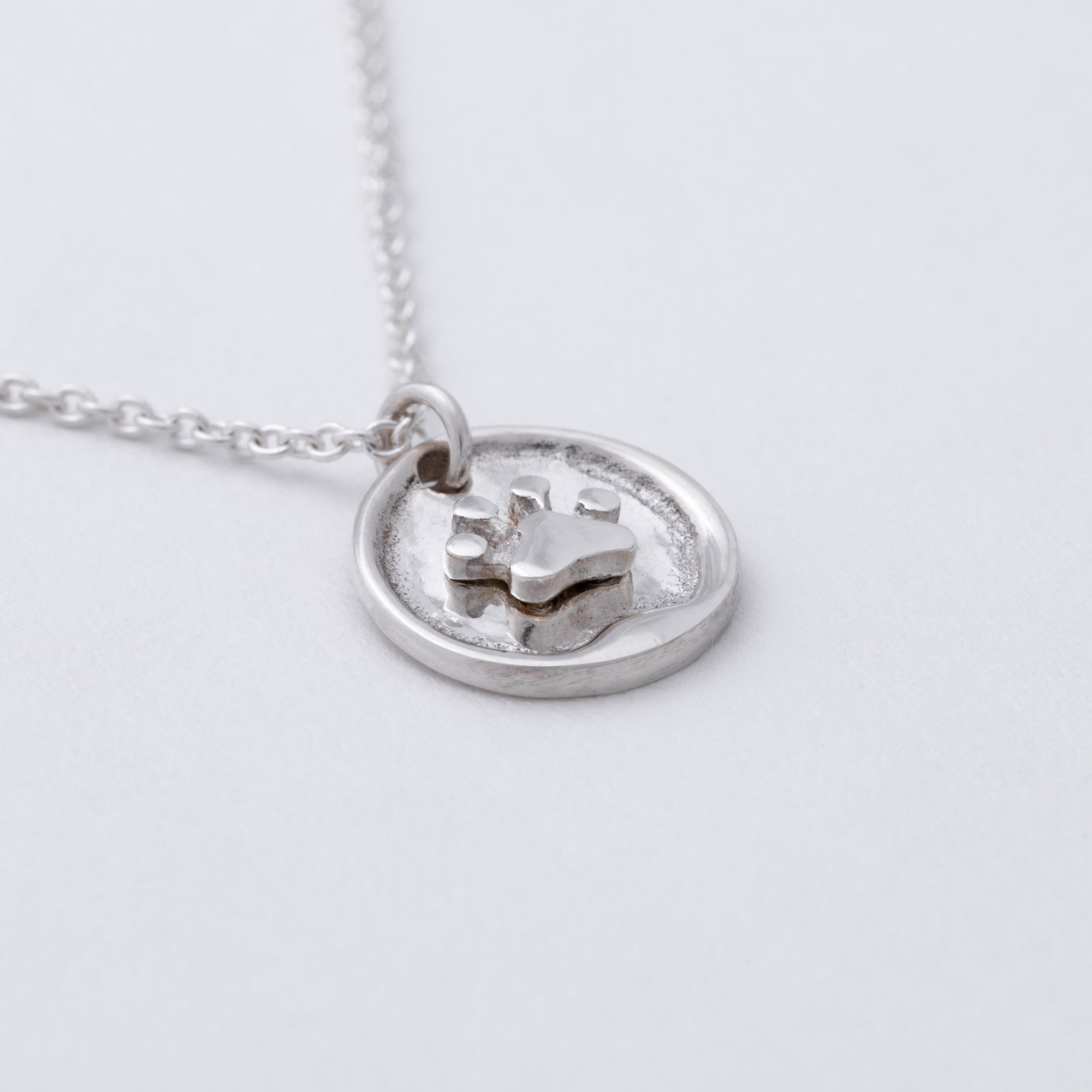 Message in a Bottle Pet Lover Sterling Necklace Gift