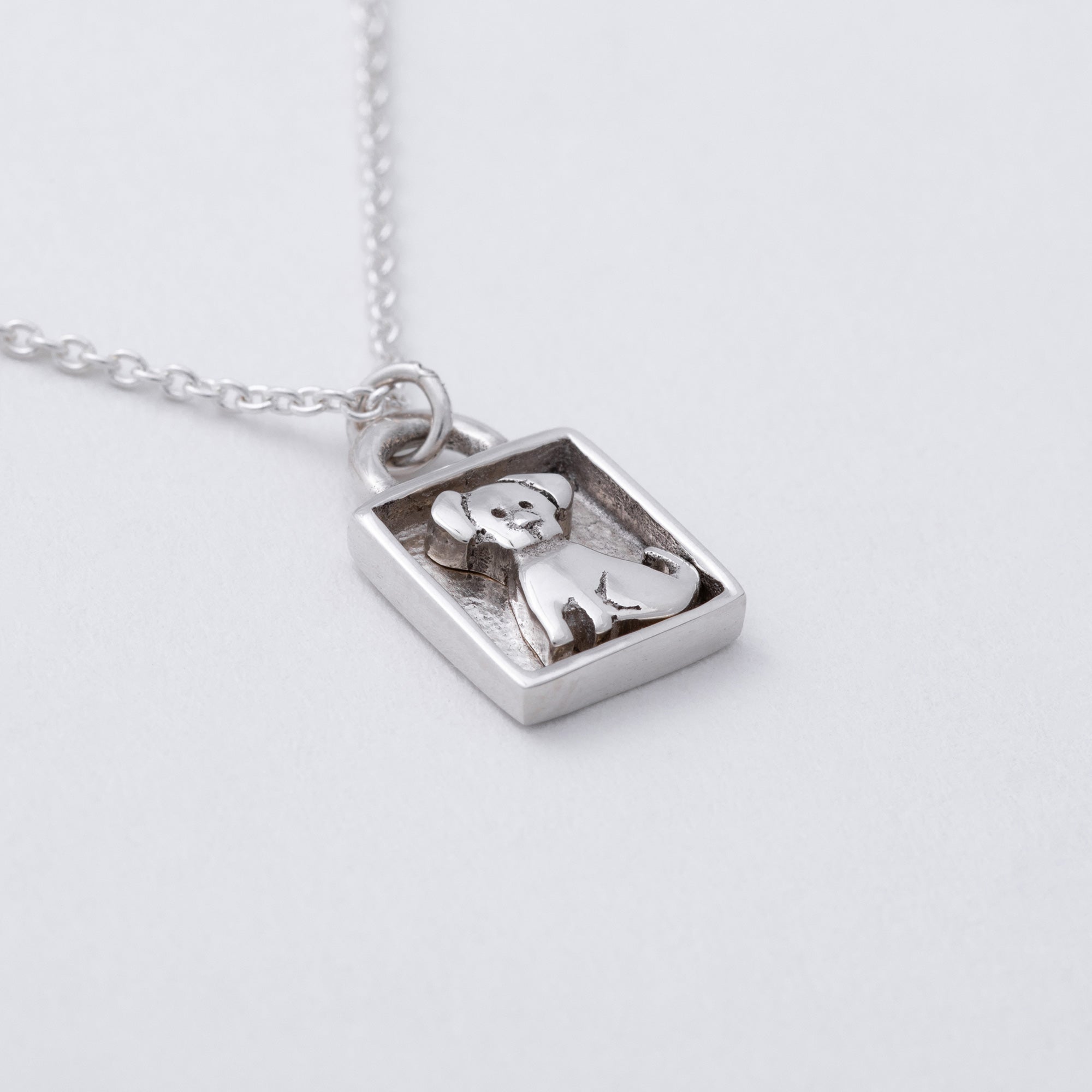 Message in a Bottle Pet Lover Sterling Necklace Gift