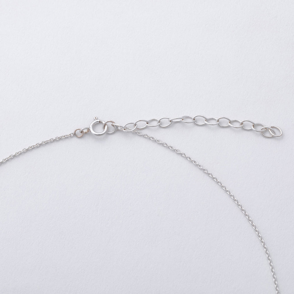 Message in a Bottle Pet Lover Sterling Necklace Gift
