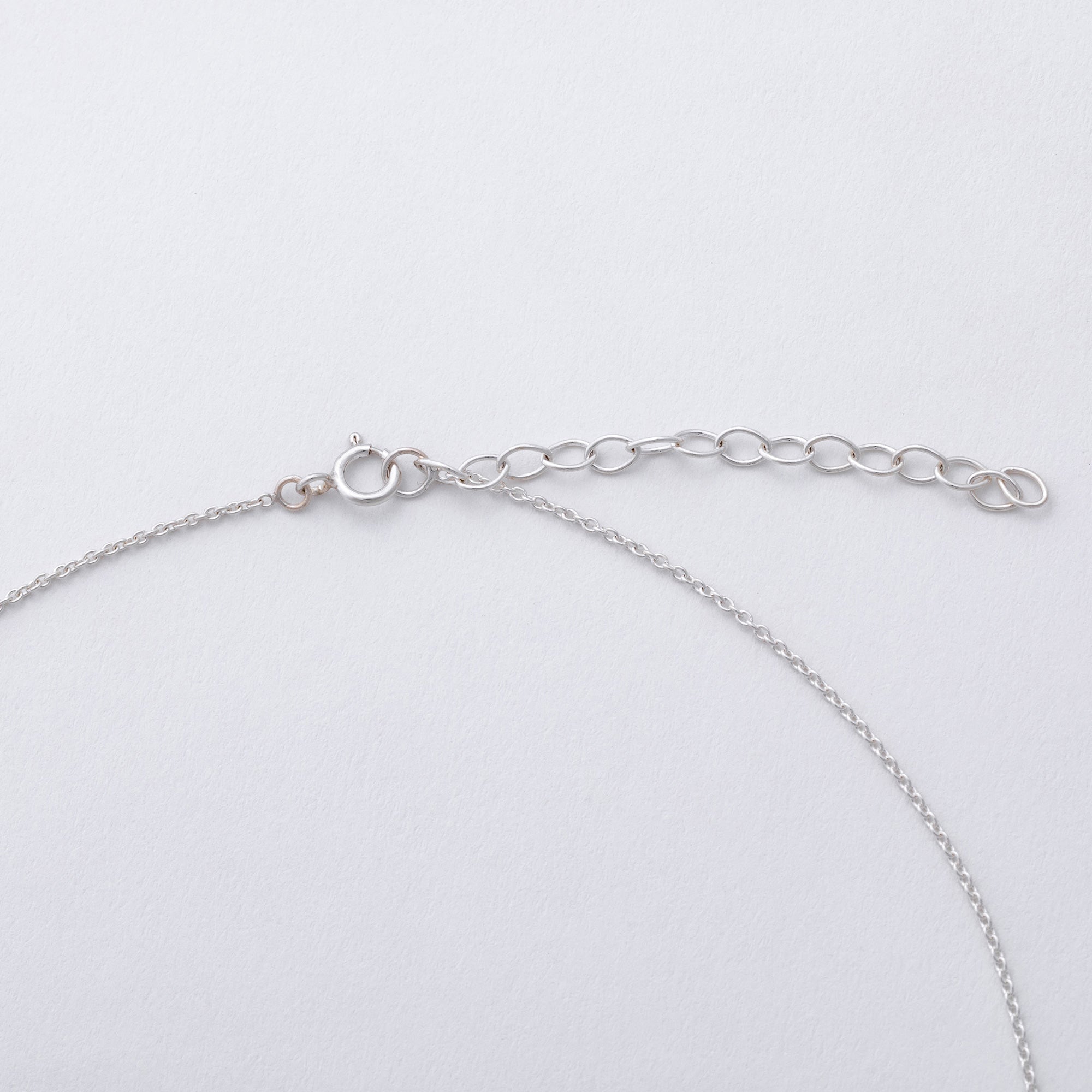Message in a Bottle Pet Lover Sterling Necklace Gift