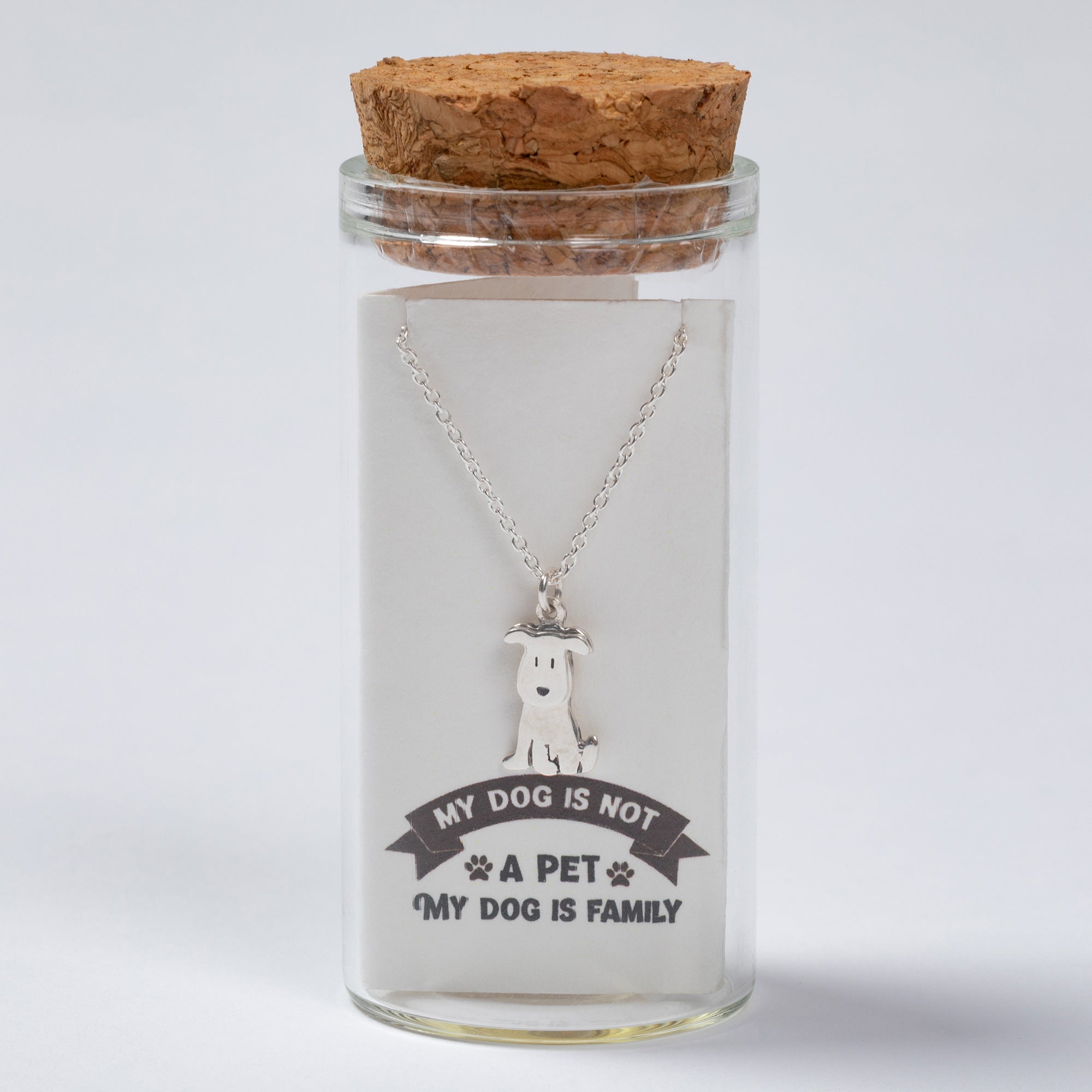 Message in a Bottle Pet Lover Sterling Necklace Gift