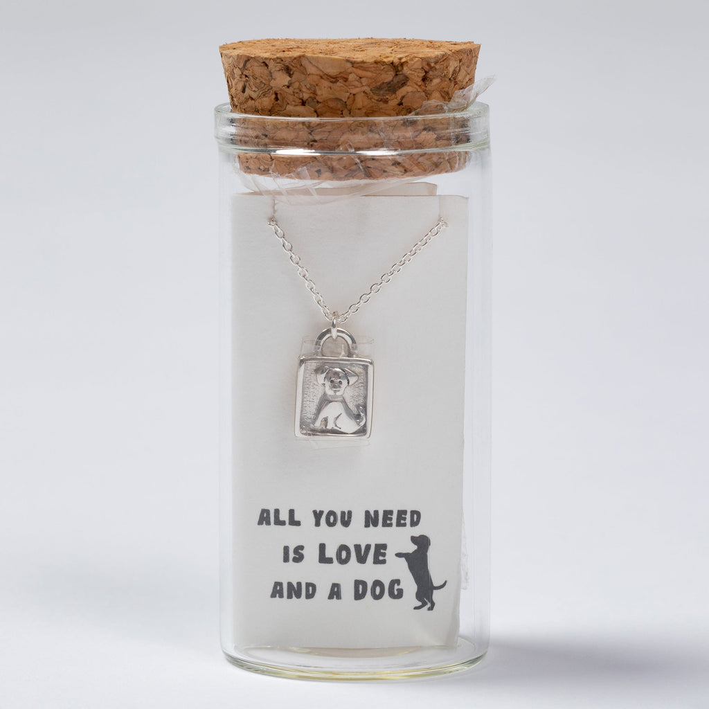 Message in a Bottle Pet Lover Sterling Necklace Gift