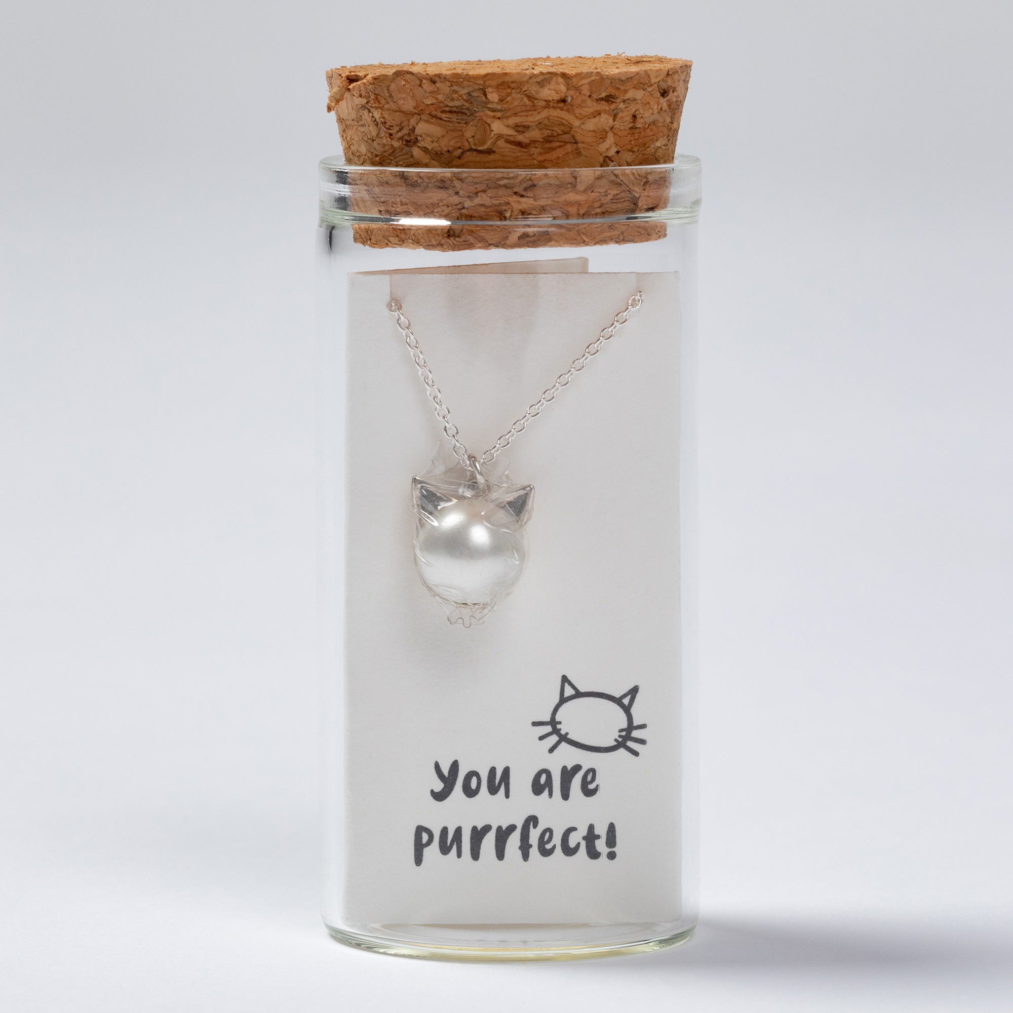 Message in a Bottle Pet Lover Sterling Necklace Gift