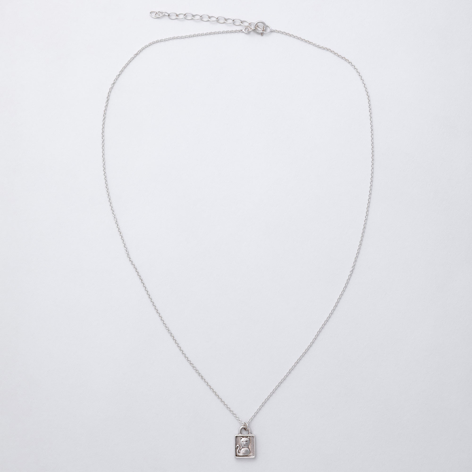 Message in a Bottle Pet Lover Sterling Necklace Gift