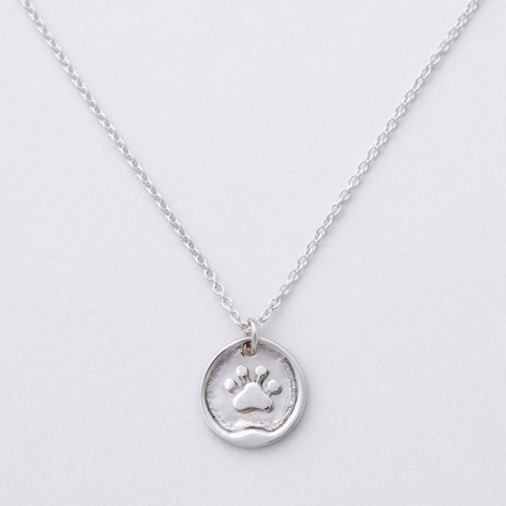 Message in a Bottle Pet Lover Sterling Necklace Gift