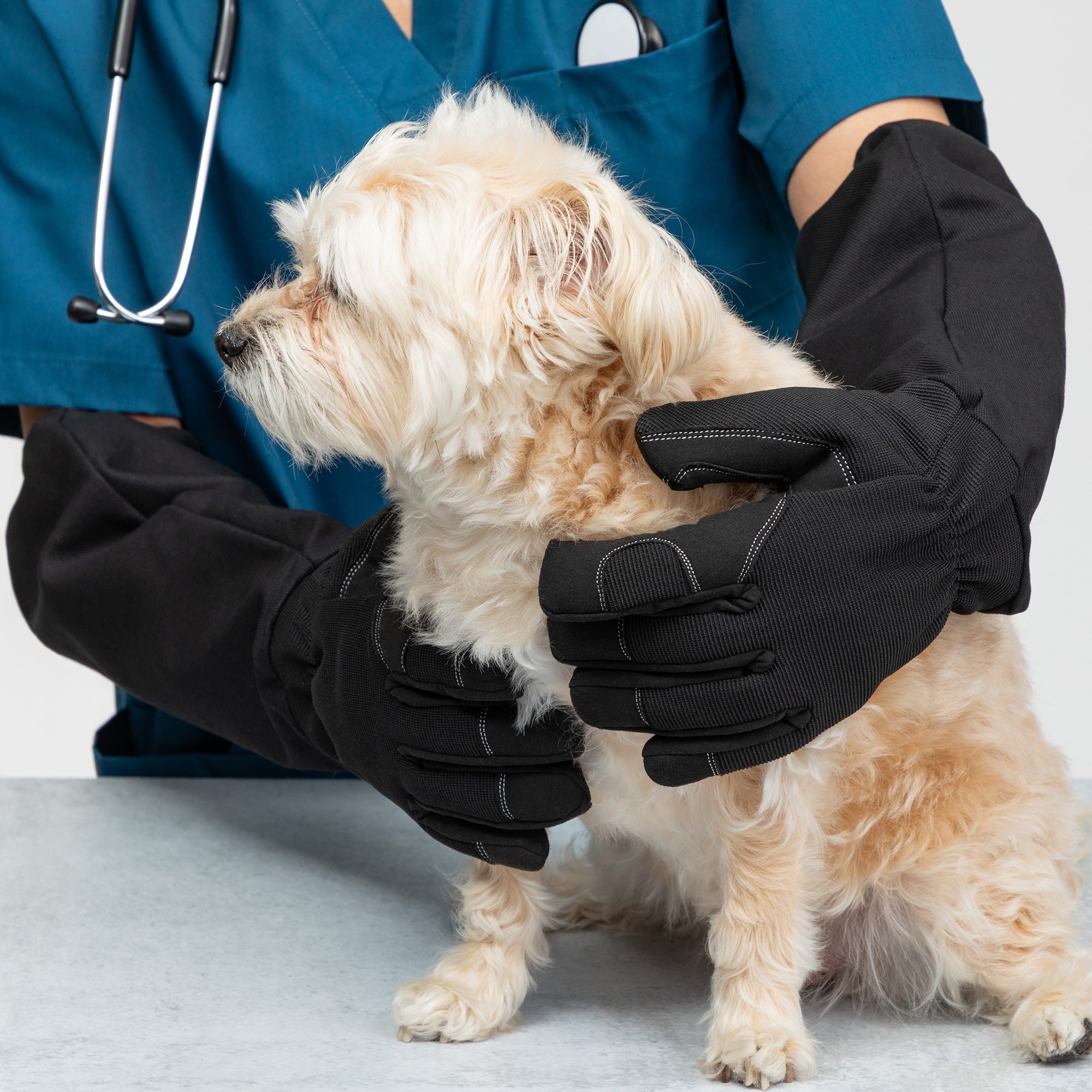 Animal Rescue Site Bite Blocker Protector Gloves