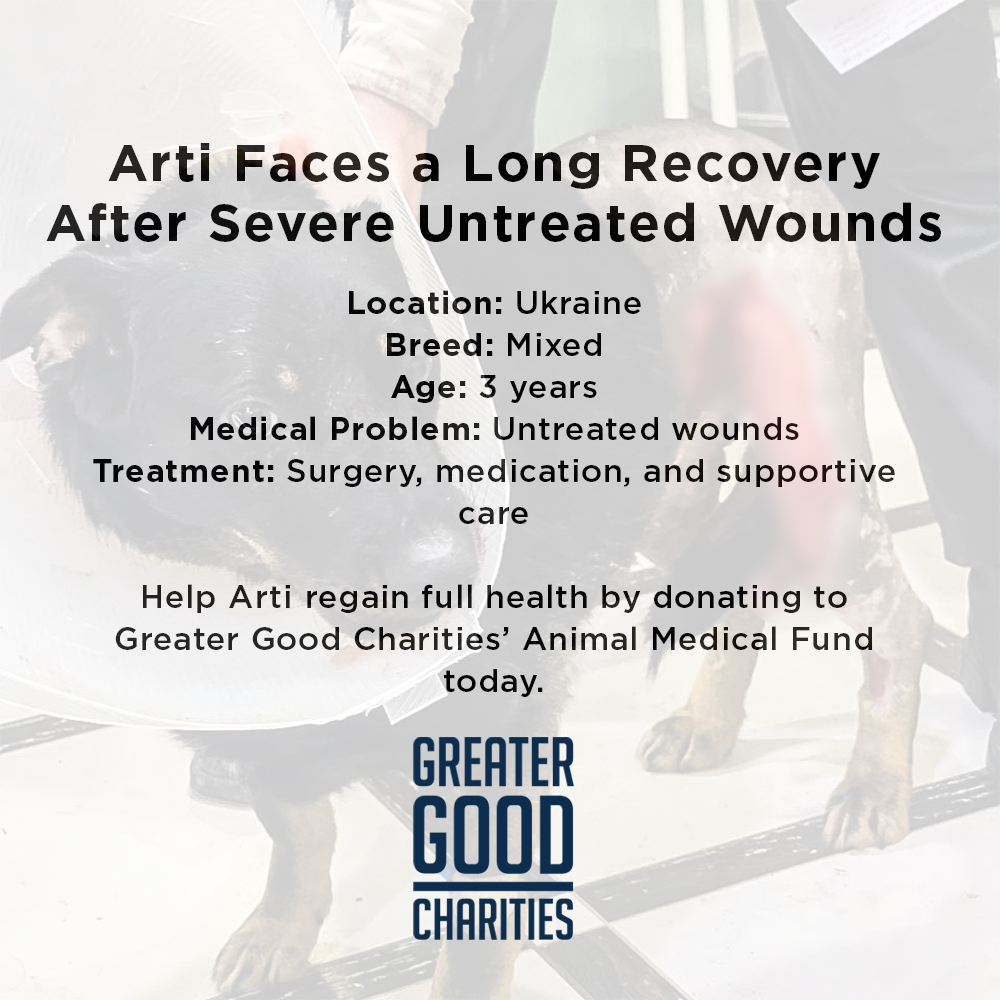 Arti Survived the War - Now Help Her Survive Her Wounds.