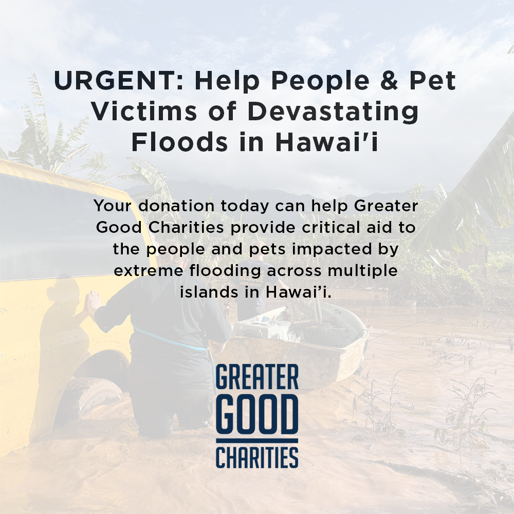 Help People and Pet Victims of Devastating Floods in Hawai'i