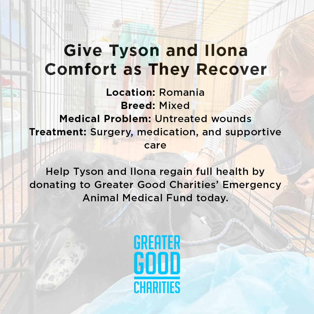 Funded: Help IIona and Tyson Suffering From Life-Threatening Injuries Get Emergency Care
