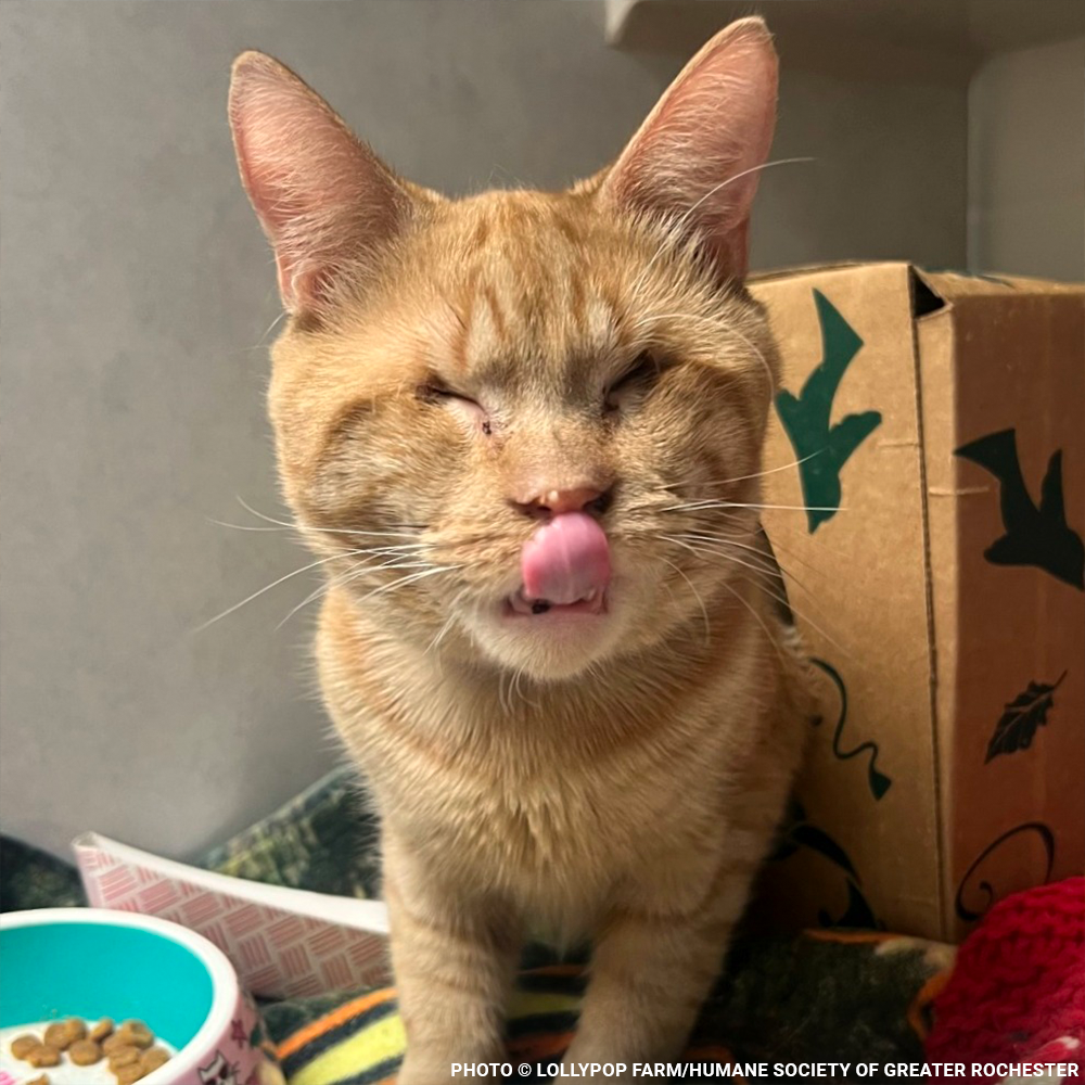 Funded: Help Arnold Navigate a New Life After So Much Loss