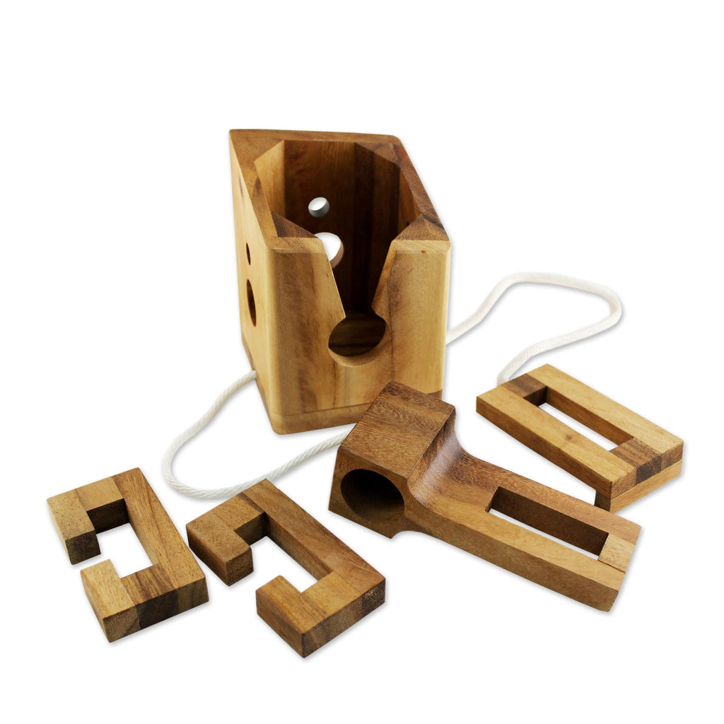 Don't Break It Raintree Wood Bottle Puzzle