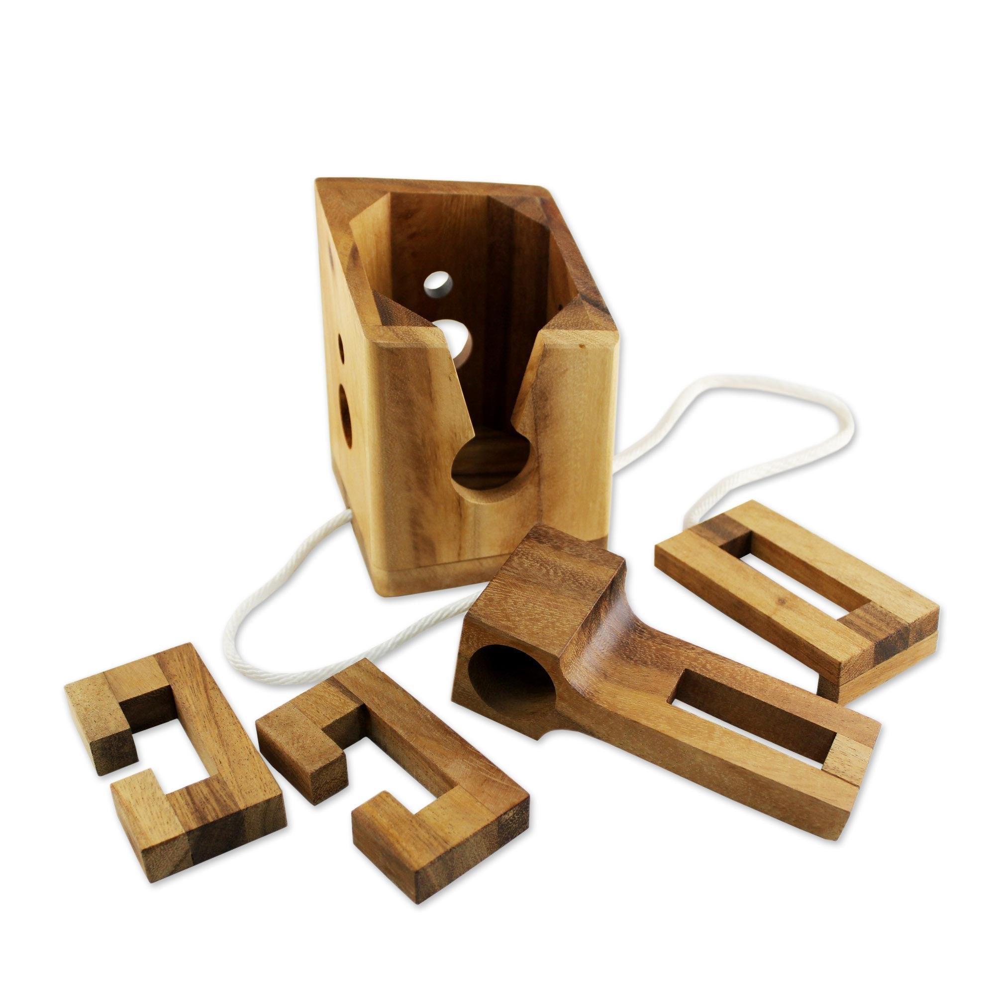 Don't Break It Raintree Wood Bottle Puzzle