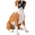 Small Size Fawn Boxer Dog Sculpture