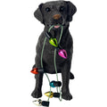 Sitting Chocolate Labrador Retriever Christmas Ornament