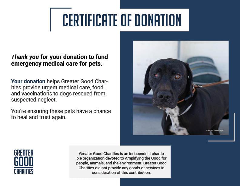 Funded: Help Dog with Missing Eye Trust Again After Being Rescued from Neglect