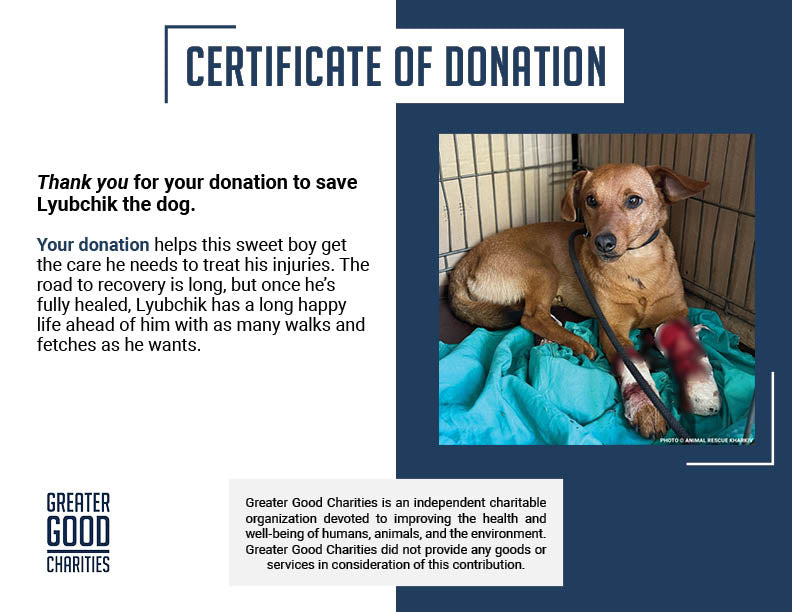 Funded: Support Lyubchik as He Heals from Pelvic Fracture