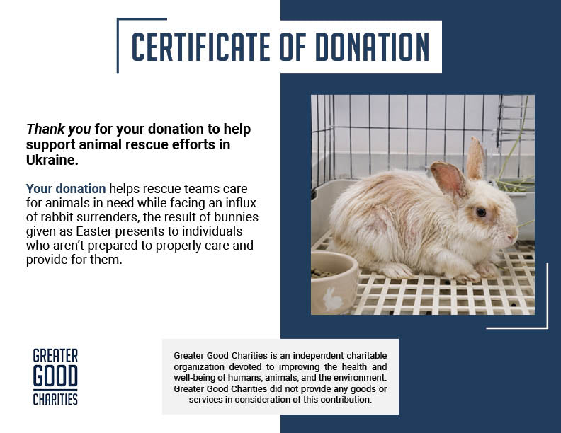 Send Lifesaving Supplies to Rescue Bunnies