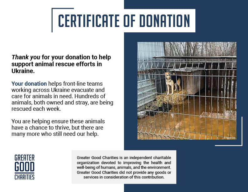 URGENT: Help Evacuate Shelter Pets From Flood Waters