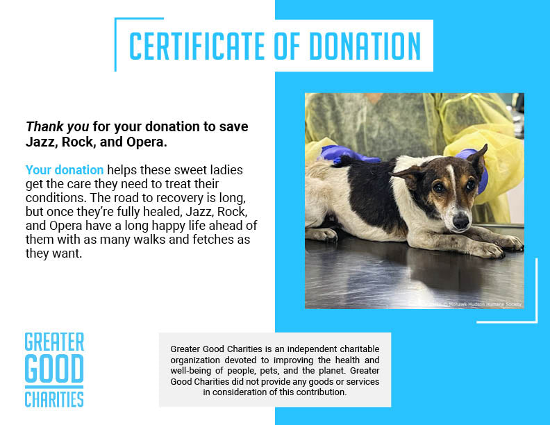 Funded: Help Neglected Dogs Jazz, Rock, and Opera Heal in Harmony