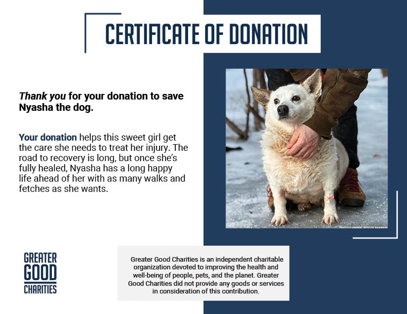Nyasha Was Found Suffering - Her Infected Wound Needs Urgent Care