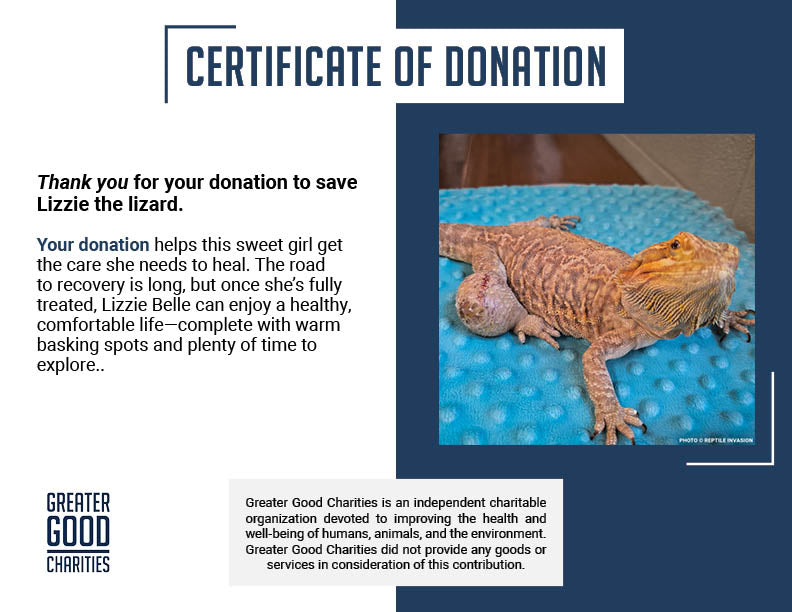 Funded: Lizzie the Lizard Needs Surgery to Remove Large Tumor