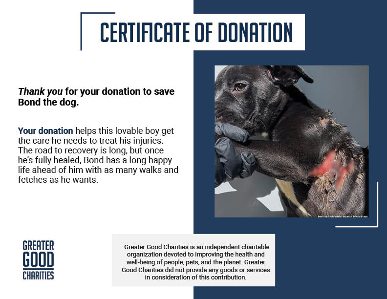 Funded: Severely Burned and Dumped, Bond Needs a Chance to Heal