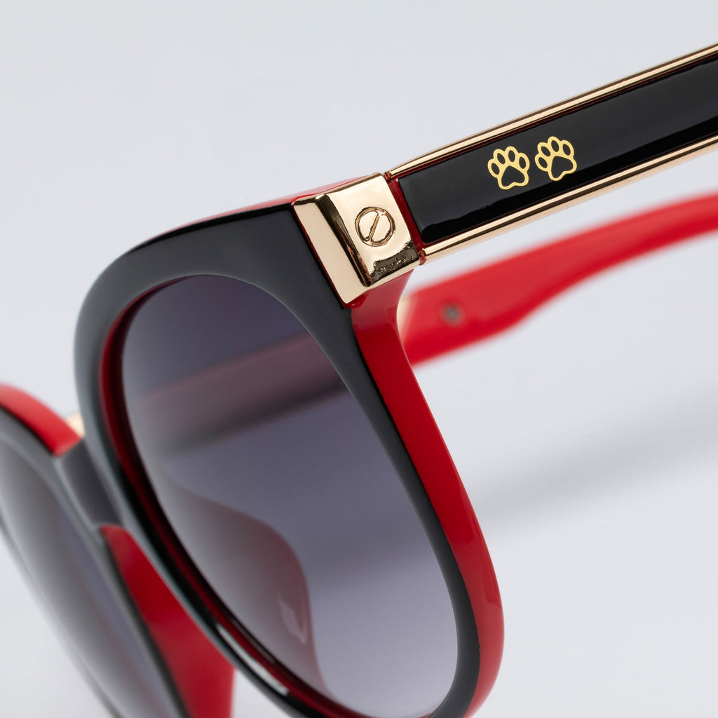 Walking Paws Sunglasses