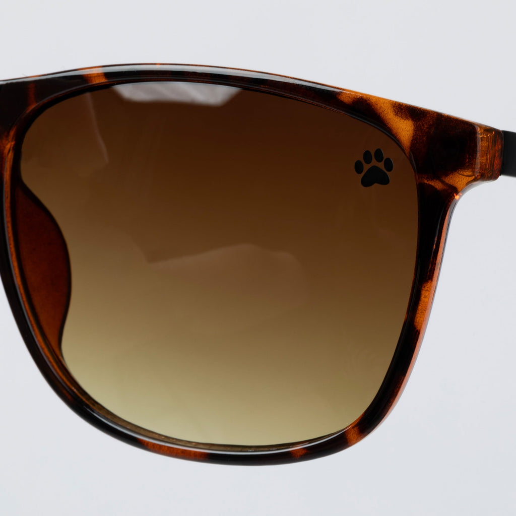Walking Paws Sunglasses
