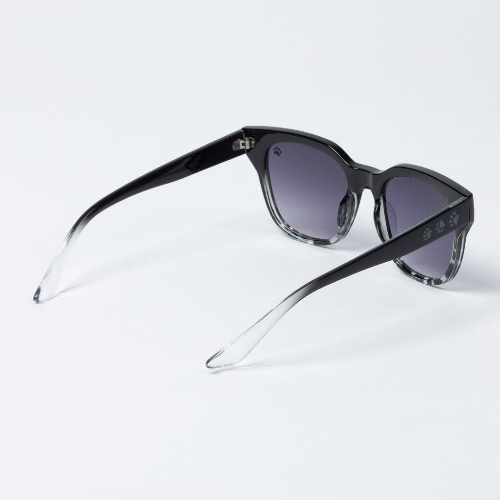 Walking Paws Sunglasses