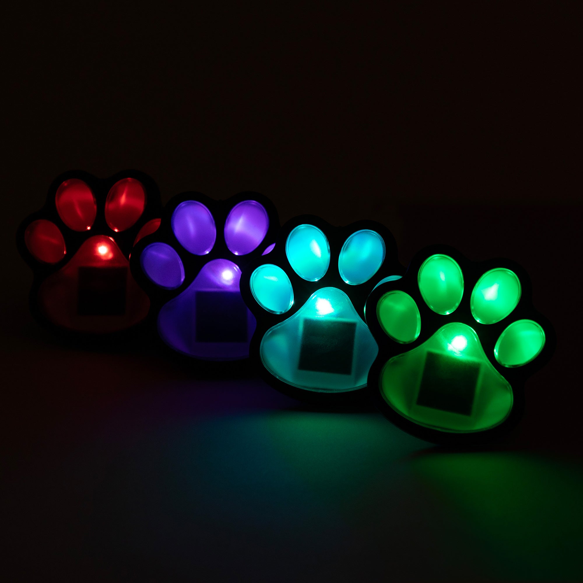 Paw Print Solar Wireless Ground Lights - Set of 4