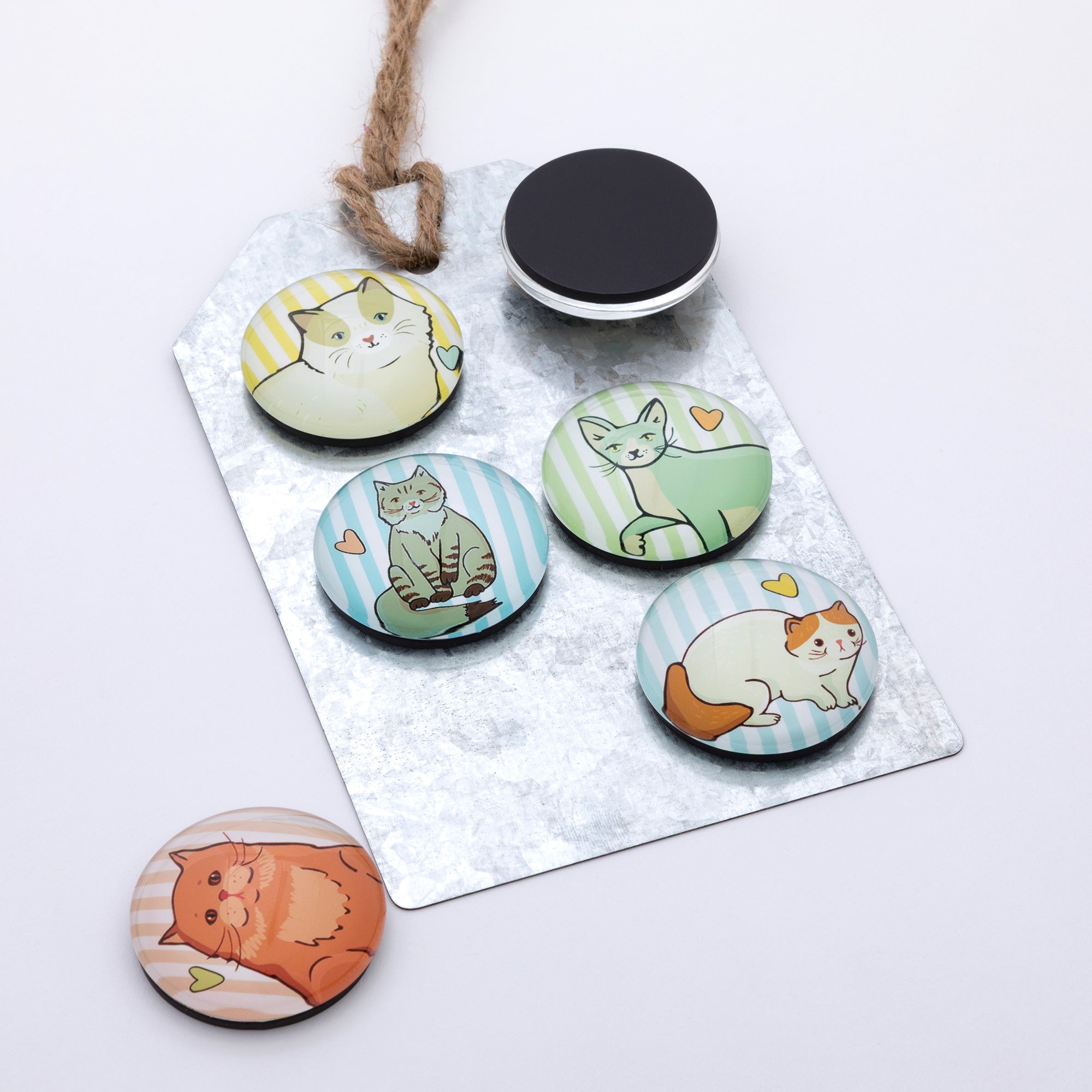 Decorative Pet Lover Fridge Magnets | 6 Piece Cat & Dog Magnet Set with Rustic Metal Gift Tag