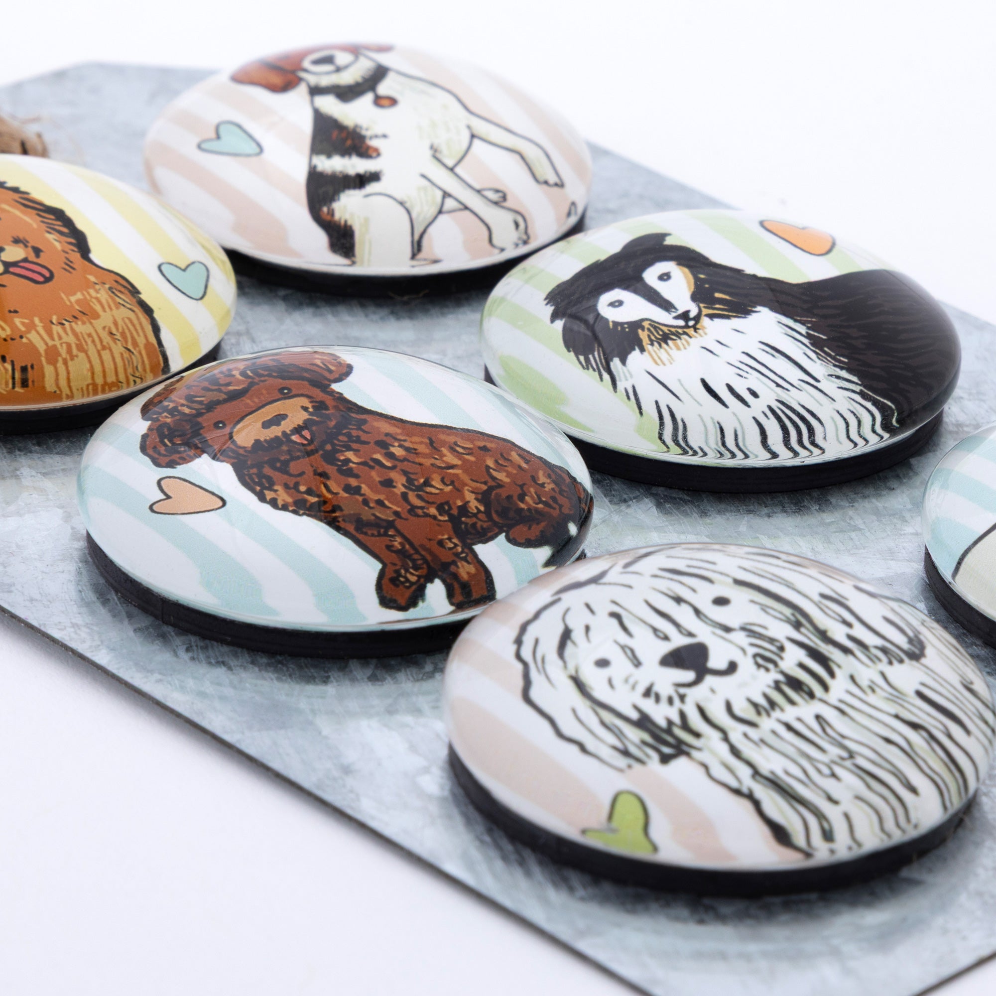 Decorative Pet Lover Fridge Magnets | 6 Piece Cat & Dog Magnet Set with Rustic Metal Gift Tag