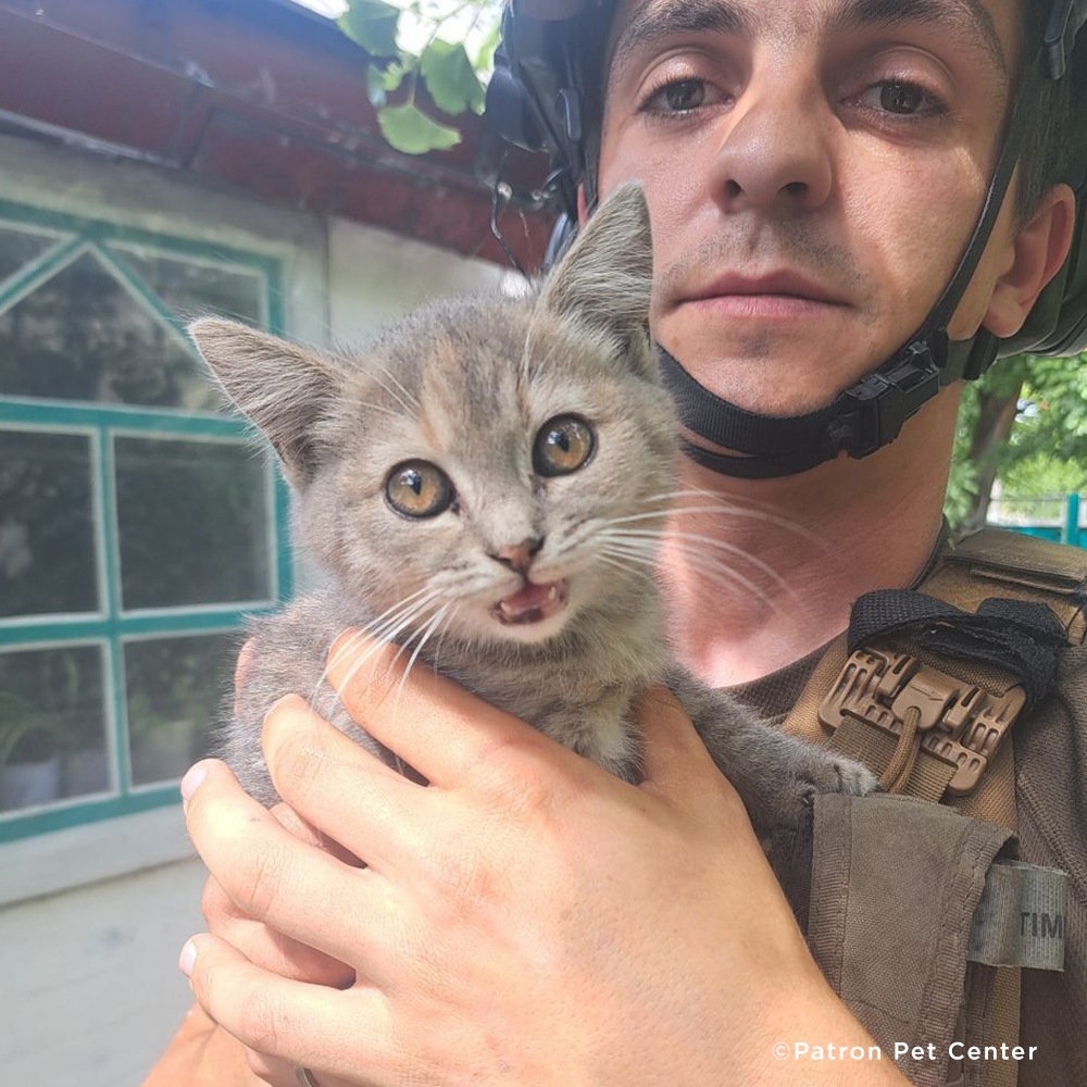 Crisis in Ukraine: Help Evacuate Pets From the Frontlines