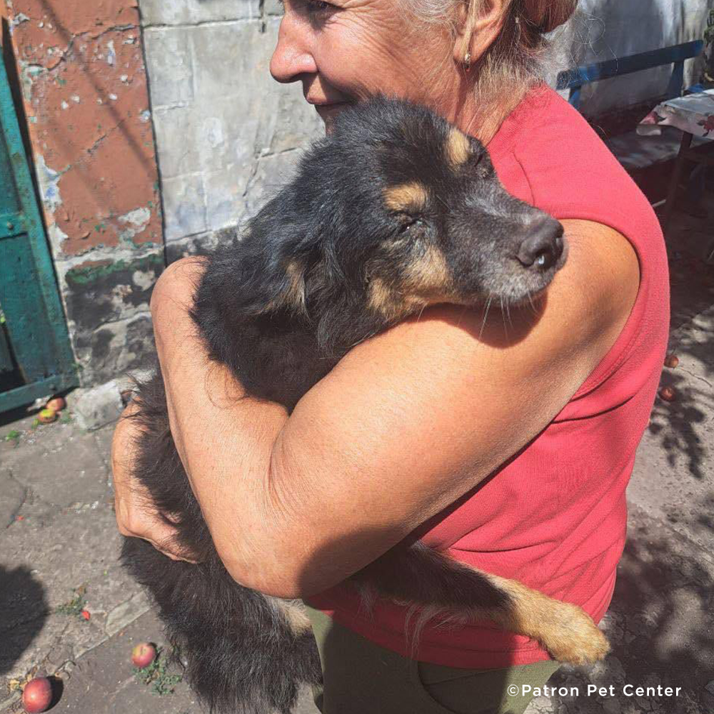 Crisis in Ukraine: Help Evacuate Pets From the Frontlines