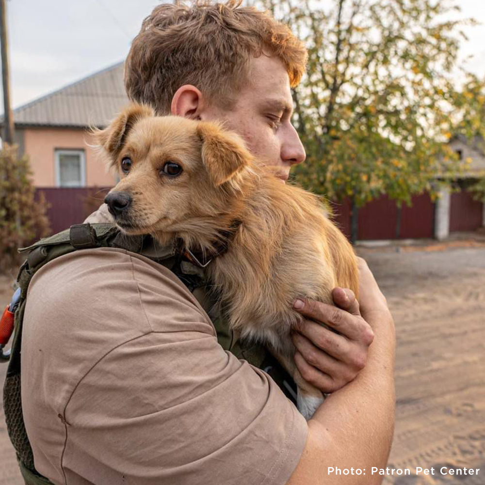Crisis in Ukraine: Help Evacuate Pets From the Frontlines
