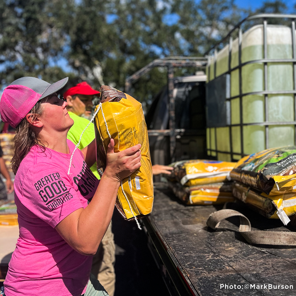 URGENT: Help Feed Starving Bees Affected by Georgia Wildfire