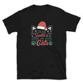 Dear Santa Send Cats T-Shirt