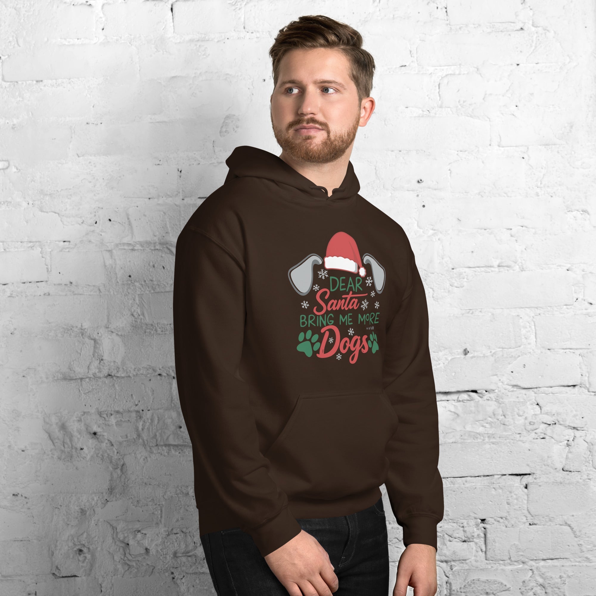 Dear Santa Send Dogs Hoodie