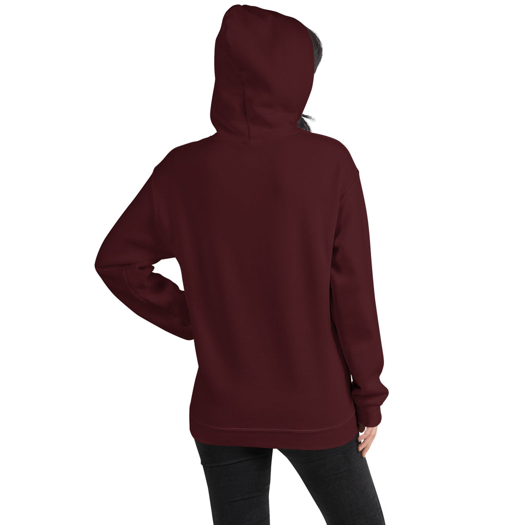 Cute Christmas Cats & Stockings Hoodie